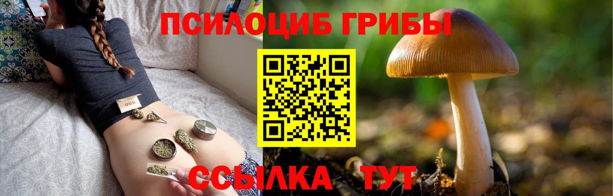 Псилоцибиновые грибы прущие грибы Карпинск