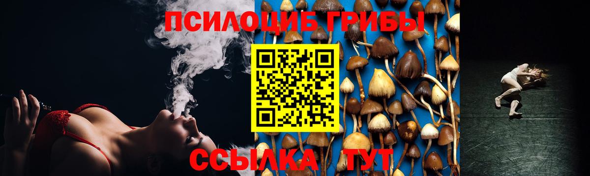 Галлюциногенные грибы Cubensis  Галлюциногенные грибы GOLDEN TEACHER  Карпинск  Вход с VPN 